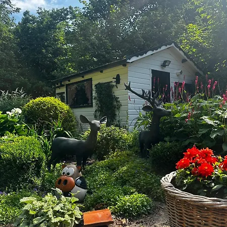 - Tulipa - Nabij De Bloembollenvelden, Het En Hébergement de vacances *