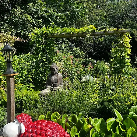 - Tulipa - Nabij De Bloembollenvelden, Het En