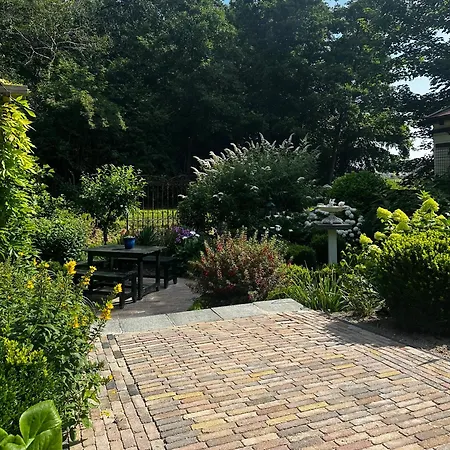 - Tulipa - Nabij De Bloembollenvelden, Het En * 诺德克豪特