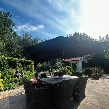 - Tulipa - Nabij De Bloembollenvelden, Het En *