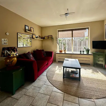 - Tulipa - Nabij De Bloembollenvelden, Het En 诺德克豪特