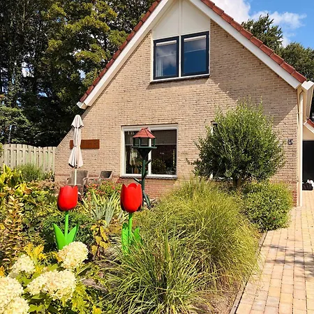 Hébergement de vacances - Tulipa - Nabij De Bloembollenvelden, Het En Noordwijkerhout