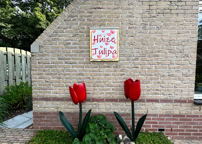 - Tulipa - Nabij De Bloembollenvelden, Het En Нордвейкерхаут