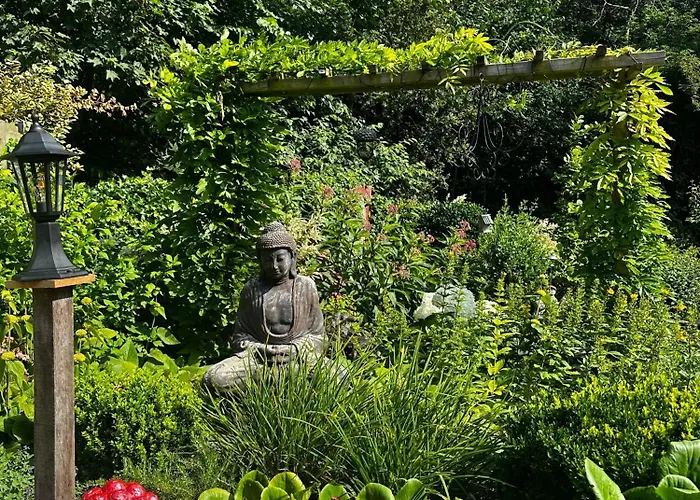 - Tulipa - Nabij De Bloembollenvelden, Het En