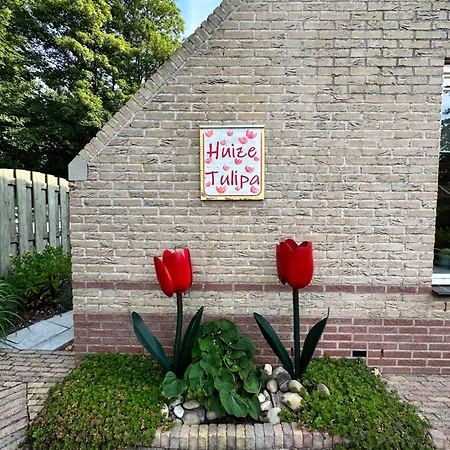 - Tulipa - Nabij De Bloembollenvelden, Het En Noordwijkerhout