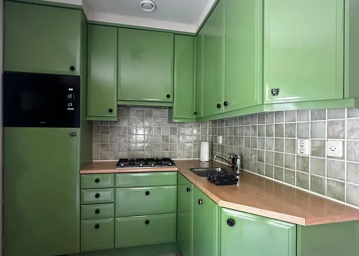 - Tulipa - Nabij De Bloembollenvelden, Het En